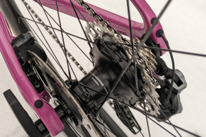 PXL_20240118_120355316.PORTRAIT