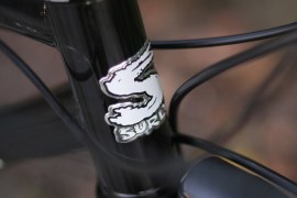 Surly Troll
