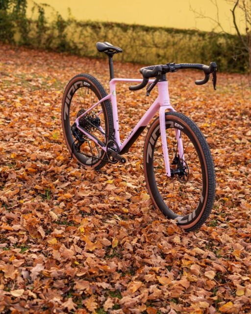 Herbstfarben on point 🍁✨
Inmitten von Gold, Rot & Kupfer strahlt ein echter Hingucker: das CUBE Nuroad C:62 SLX in Rhodonite.
Knallig, edel & perfekt in Szene gesetzt – so schön kann Gravel sein 🚴♂️💖
#cube #nuroad #gravelbike #autumnvibes #bikephotography #rideincolor #rhodonite #cyclinglove #Fahrradliebe #bikepointdresden