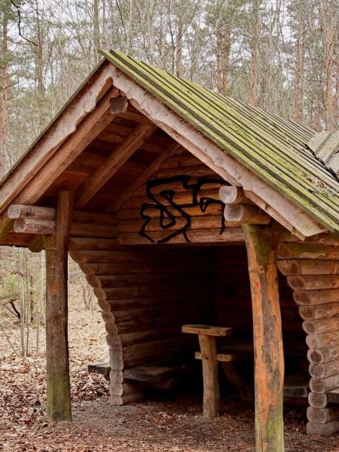 🧩📍 Fotorätsel – erkennt ihr diesen Spot?

👉 Wo wurde dieses Foto aufgenommen?
Schreibt eure Antwort in die Kommentare!

🤝 In gemeinsamer Kooperation mit dem @mtbmarathondresden möchten wir euch die Chance auf einen kostenlosen Startplatz ermöglichen! 🚵‍♂️🔥

💡 Hinweis: Der gesuchte Ort befindet sich in der Dresdner Heide – der Heimat des Marathons 😉

🎁 Unter allen richtigen Antworten wird der Startplatz verlost!

🔴 Bonus: Findet ihr den roten bike point Punkt? 👀

⏳ Teilnahme bis: Sonntag, 22.3.26
🏆 Der Gewinner wird per DM benachrichtigt

#bikepointdresden #fotorätsel #dresdnerheide #mtbmarathondresden #mtbmarathon