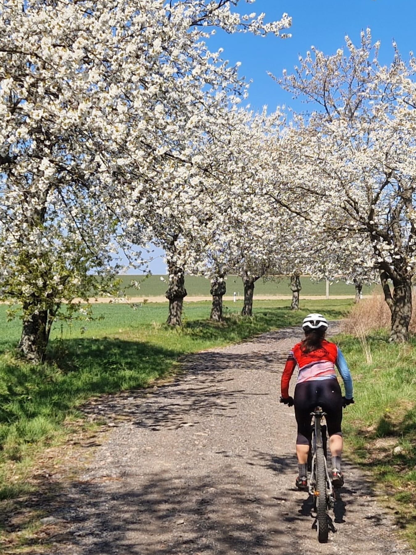 🚴‍♂️ DRESDENUMRUNDUNG 2026 🏔️

Am 9. August ist es wieder soweit: Wir umrunden Dresden – und diesmal wird’s richtig ordentlich. 😮‍💨🔥

📍 Start: Heidefriedhof
⏰ 7:30 Uhr
📏 ca. 155 km
⛰️ ca. 3.200 hm

Die Runde führt einmal komplett um Dresden herum und hat dabei so ziemlich alles im Gepäck: knackige Anstiege, schnelle Abfahrten, kleine Wege und jede Menge Höhenmeter. 💀🚵‍♂️

Wer Bock auf die komplette Runde hat, kann sich den Komoot-Track über den Link in der Bio ziehen und direkt loslegen oder unterwegs zusteigen. 🗺️

Also: Akku laden, Beine vorbereiten und Sonntag früh ab zum Heidefriedhof. 😎
Wer ist dabei? 👇

#dresdenumrundung #dresden #mtbdresden #mtb #bikepointdresden